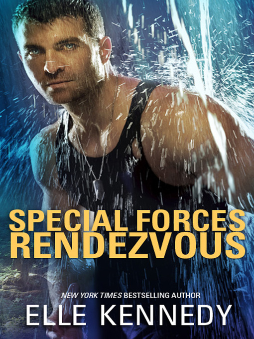 Cover image for Special Forces Rendezvous